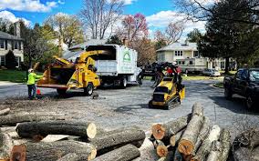 Best Arborist Consultation Services  in Nolensville, TN