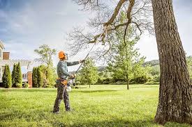 Best Grass Overseeding  in Nolensville, TN